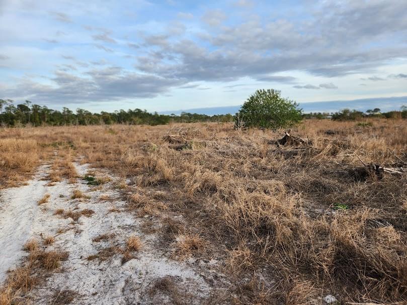 W FROSTPROOF RD #Lot 12, FROSTPROOF, FL, 33843