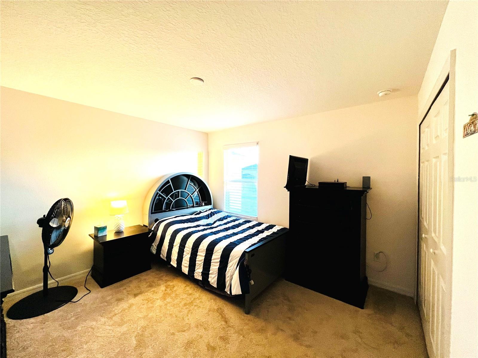 6976 CHURCH LAKE ST, GROVELAND, FL, 34736
