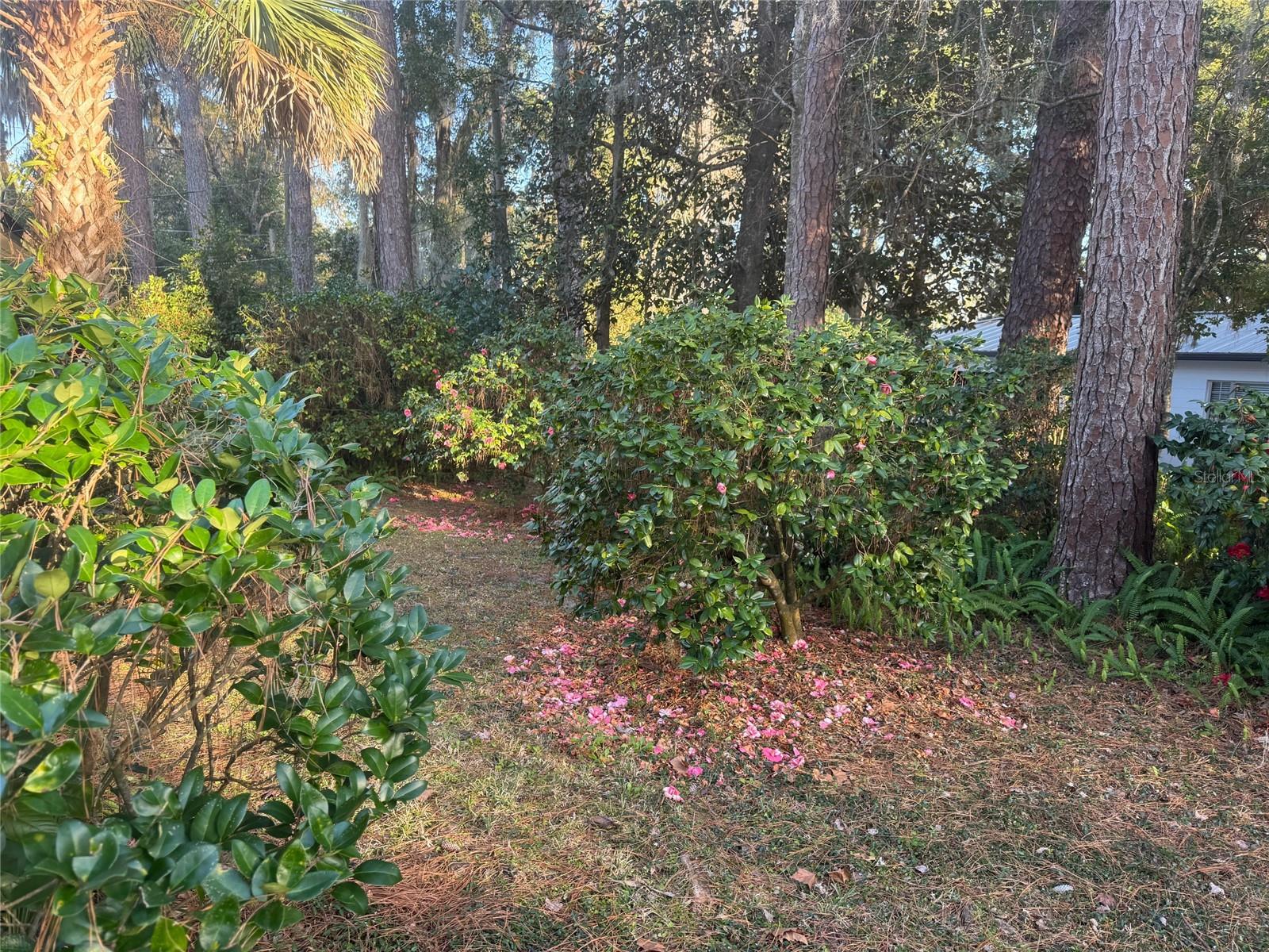 1807 NW 22ND DR, GAINESVILLE, FL, 32605