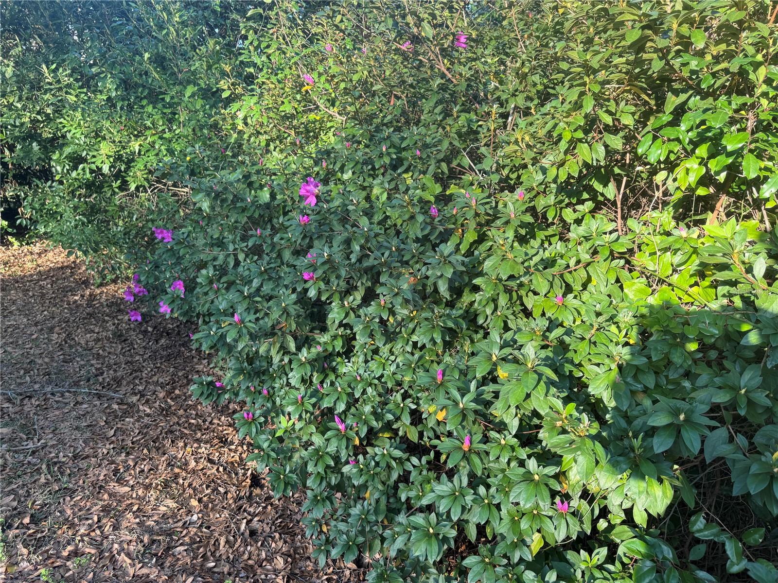 1807 NW 22ND DR, GAINESVILLE, FL, 32605