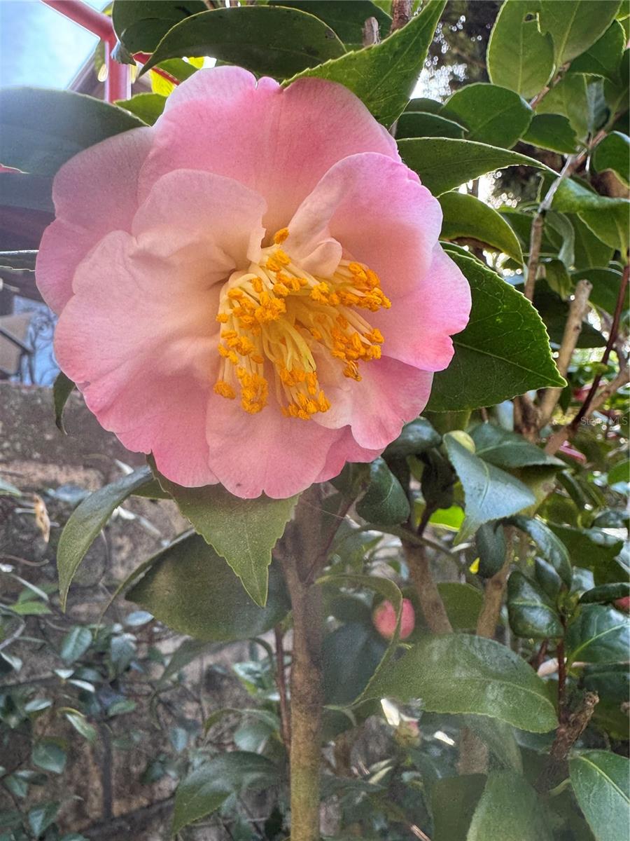 1807 NW 22ND DR, GAINESVILLE, FL, 32605