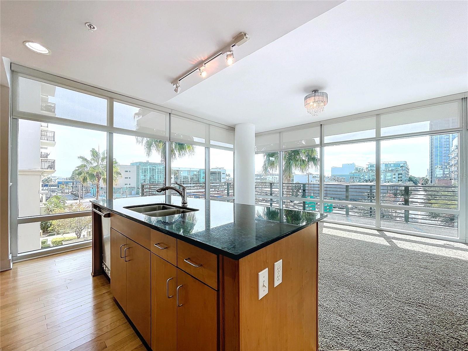 1208 E KENNEDY BLVD #319, TAMPA, FL, 33602