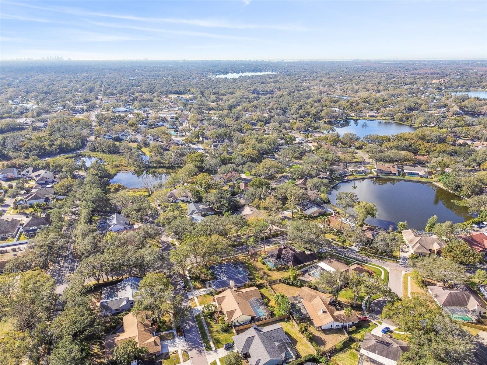 14031 SHADY SHORES DR, TAMPA, FL, 33613