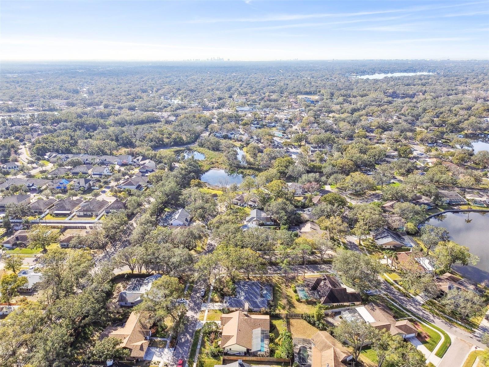 14031 SHADY SHORES DR, TAMPA, FL, 33613