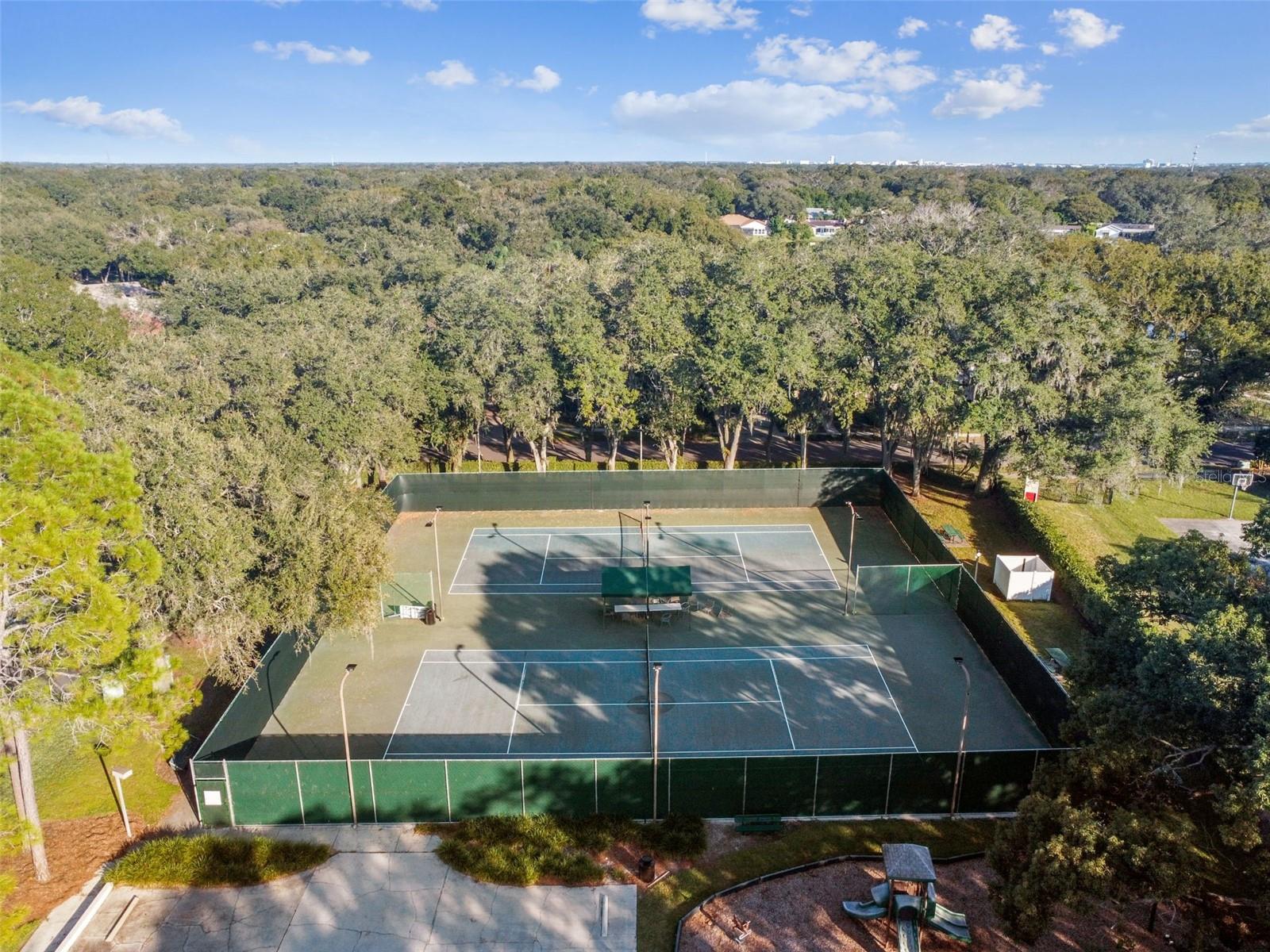 14031 SHADY SHORES DR, TAMPA, FL, 33613
