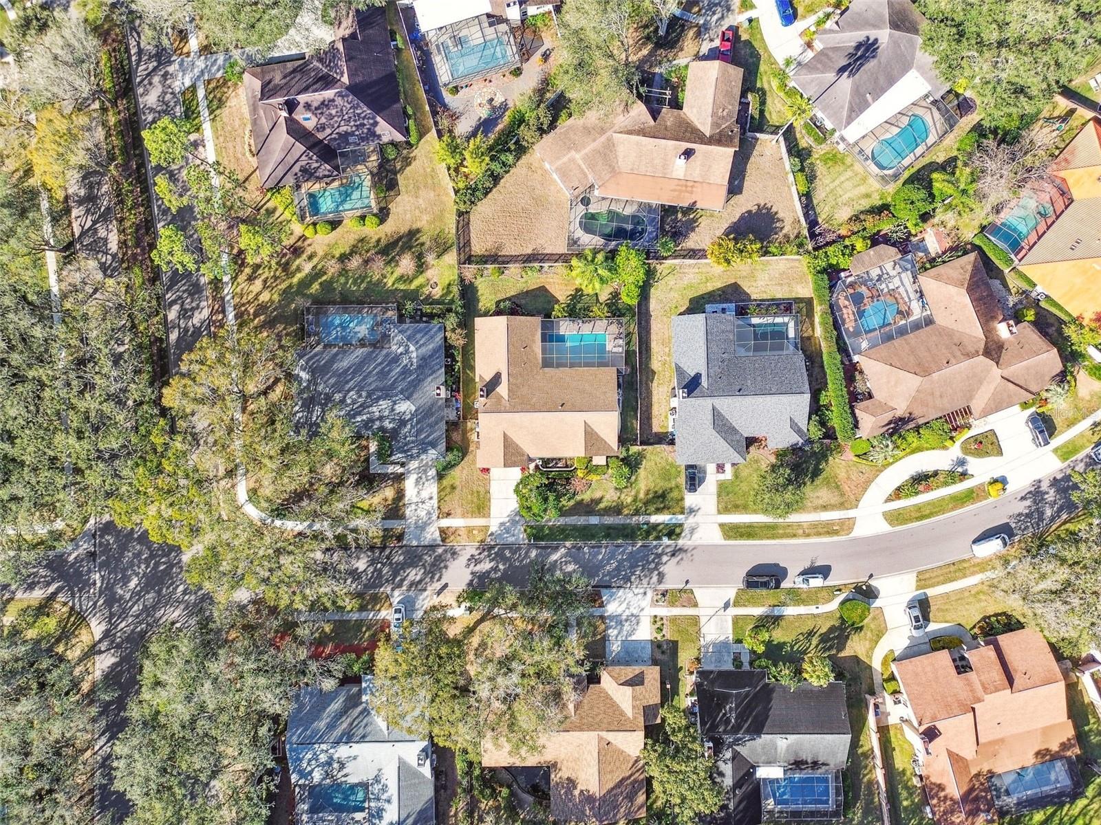 14031 SHADY SHORES DR, TAMPA, FL, 33613