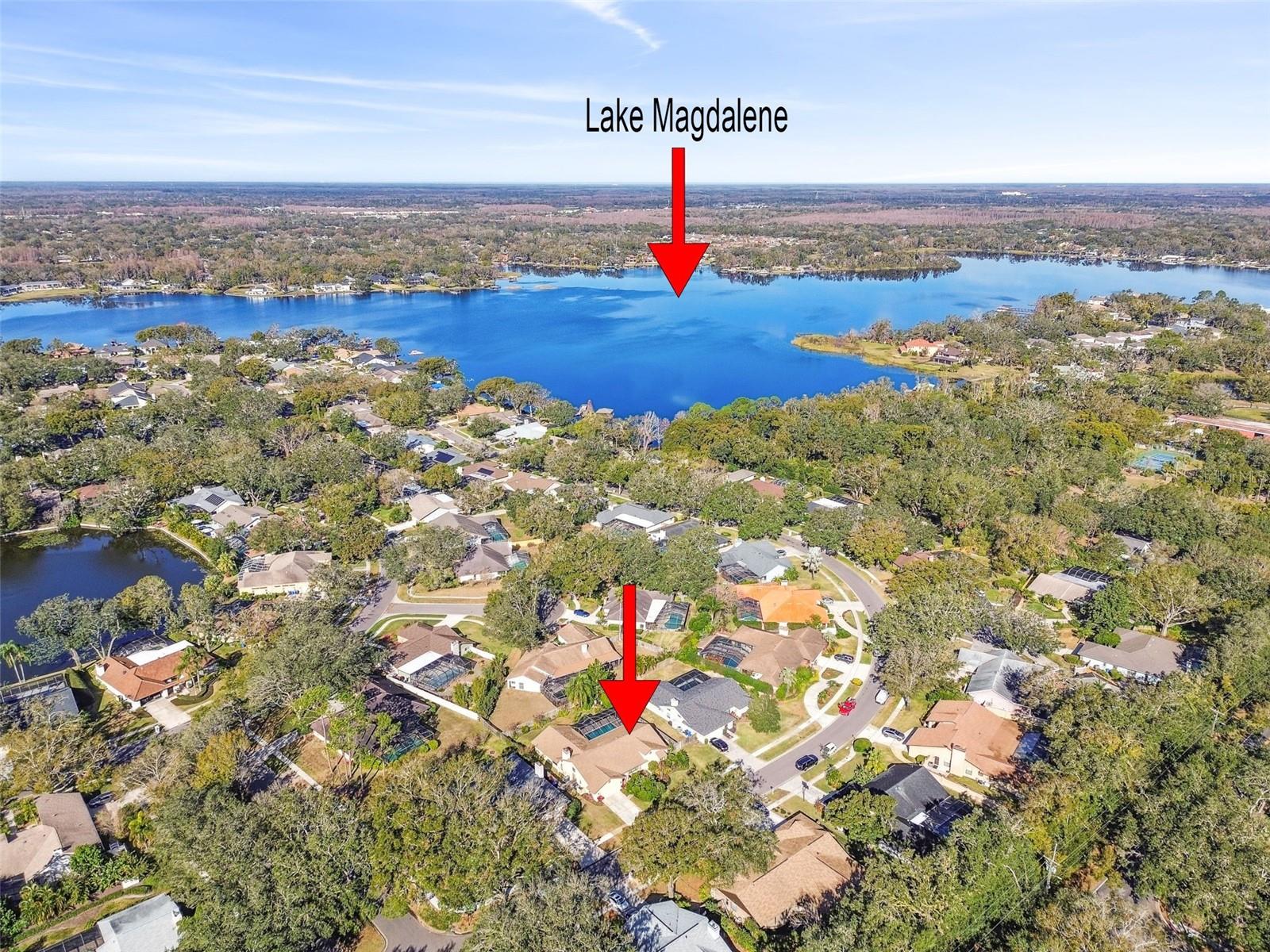 14031 SHADY SHORES DR, TAMPA, FL, 33613
