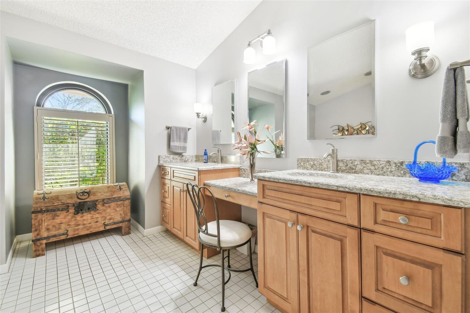 14031 SHADY SHORES DR, TAMPA, FL, 33613