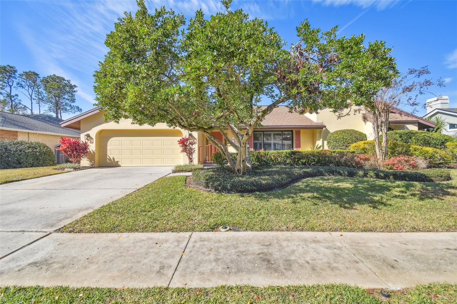 14031 SHADY SHORES DR, TAMPA, FL, 33613