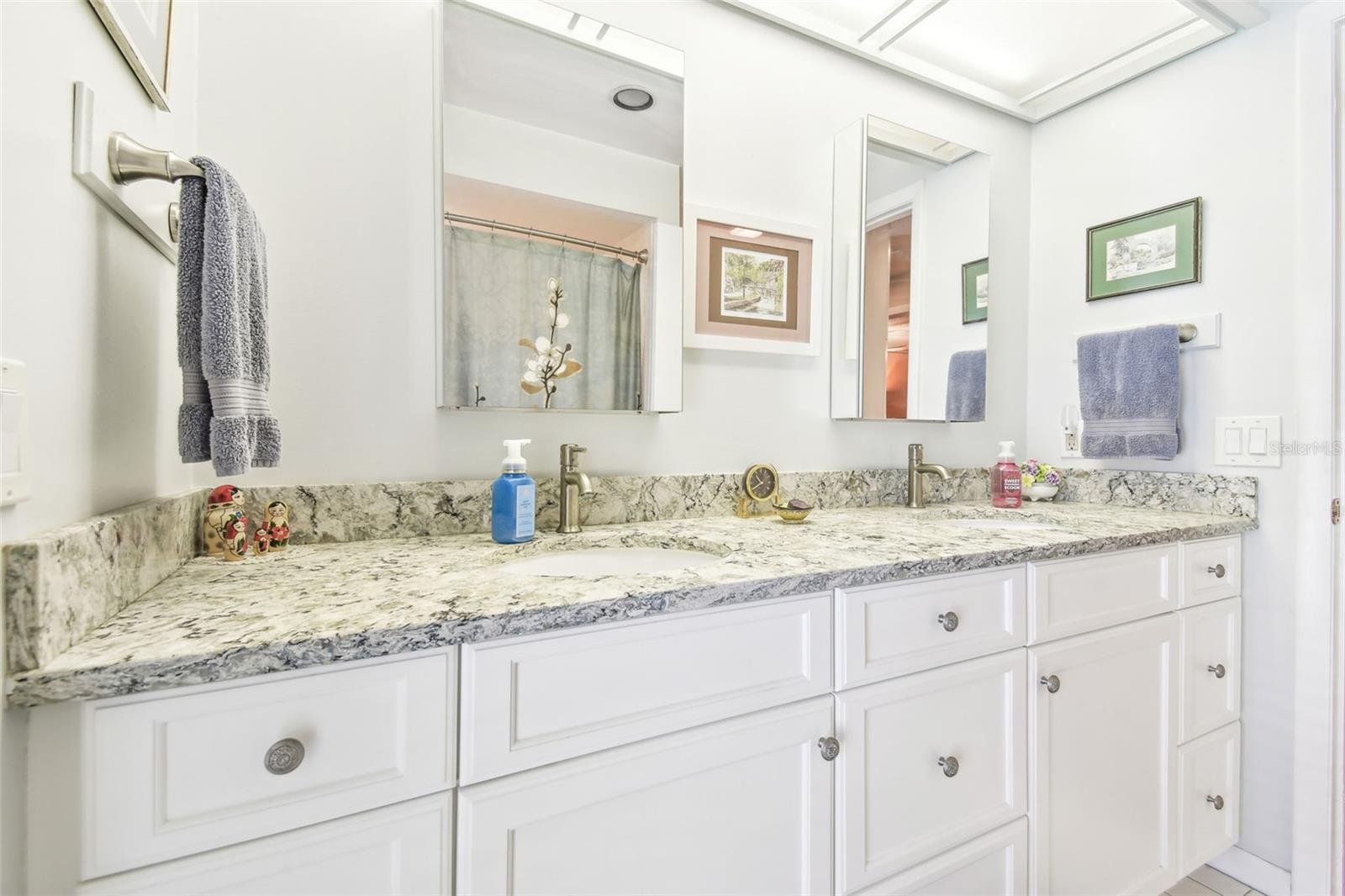 14031 SHADY SHORES DR, TAMPA, FL, 33613