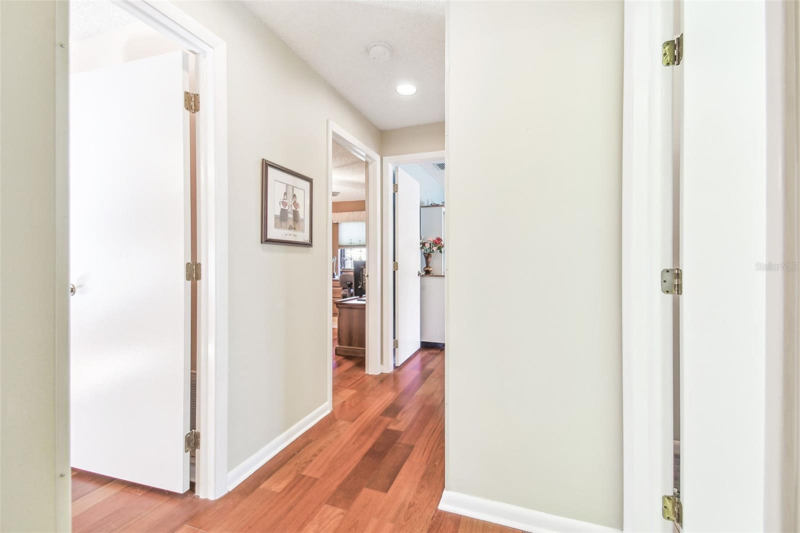 14031 SHADY SHORES DR, TAMPA, FL, 33613