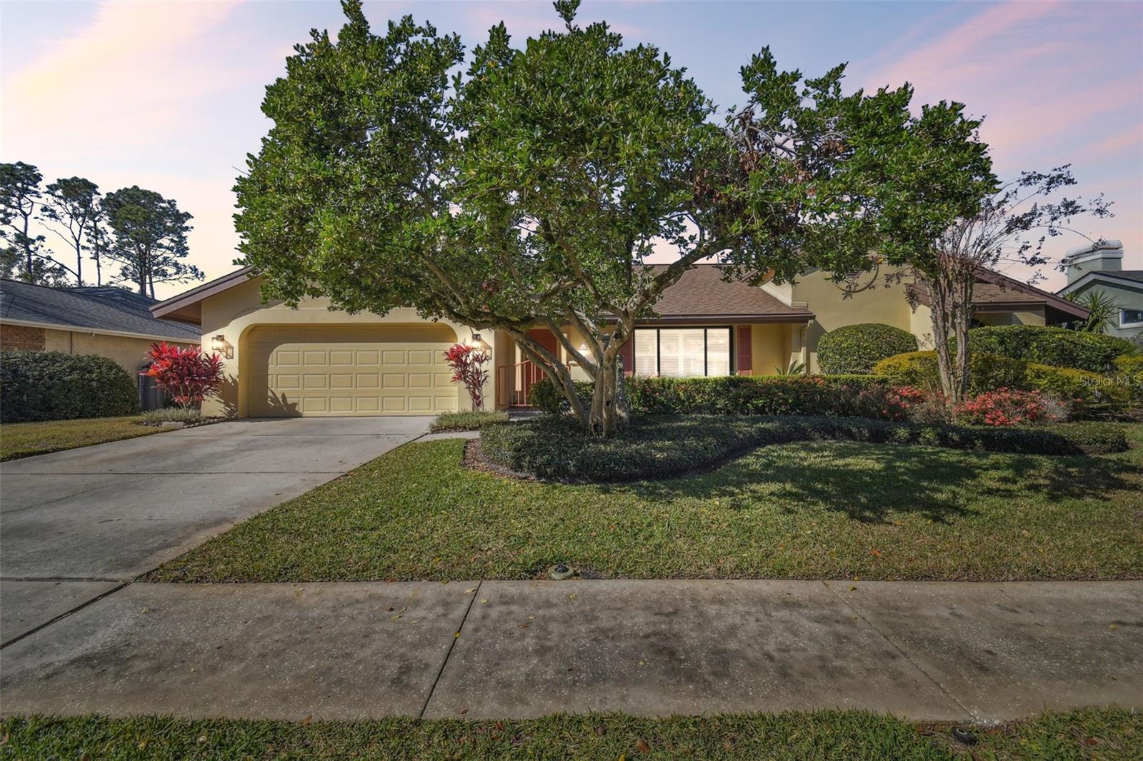 14031 SHADY SHORES DR, TAMPA, FL, 33613