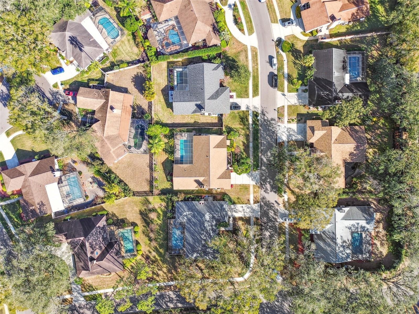 14031 SHADY SHORES DR, TAMPA, FL, 33613