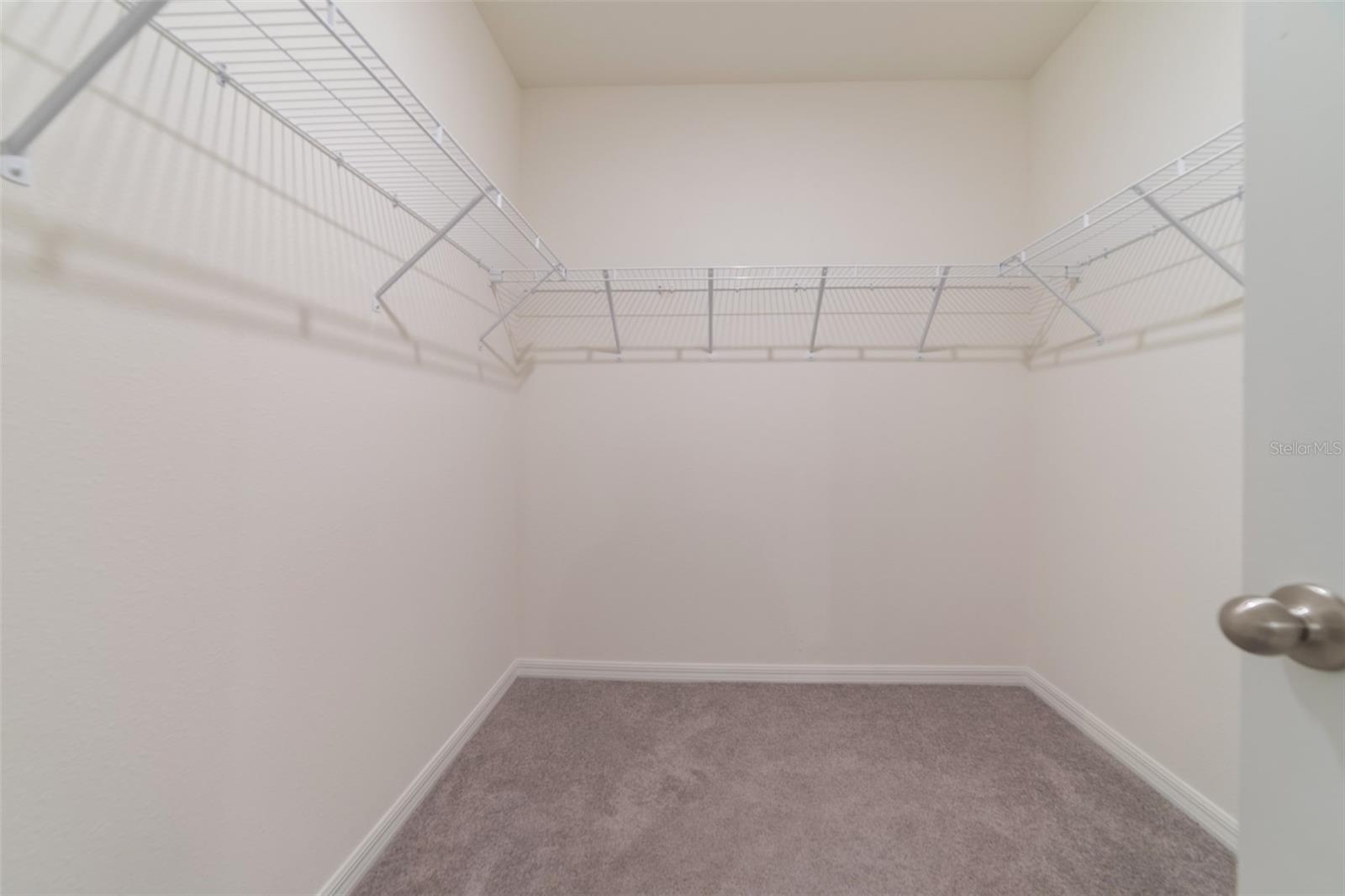 34219 SORREL MINT DR, WESLEY CHAPEL, FL, 33543
