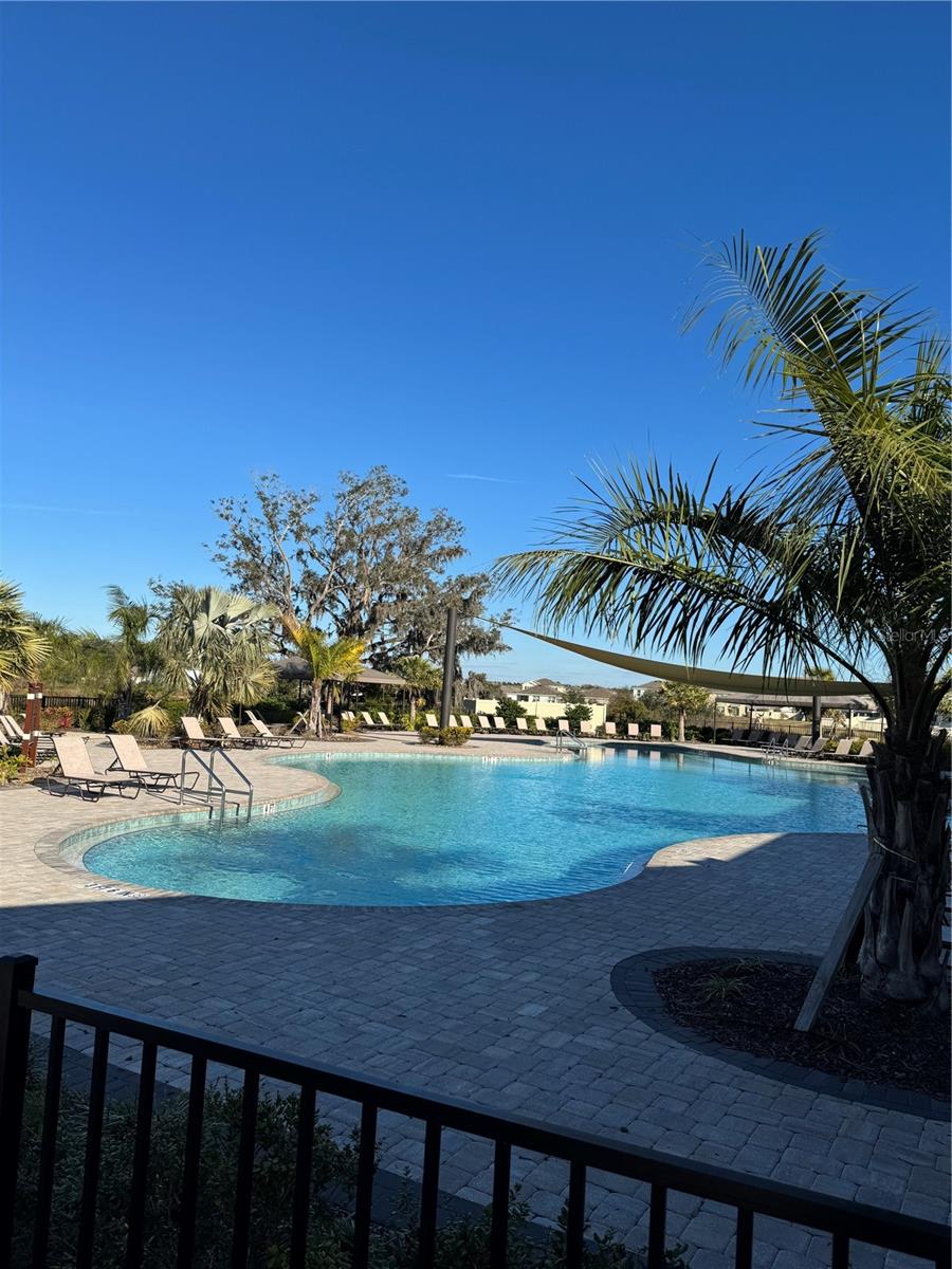 34219 SORREL MINT DR, WESLEY CHAPEL, FL, 33543