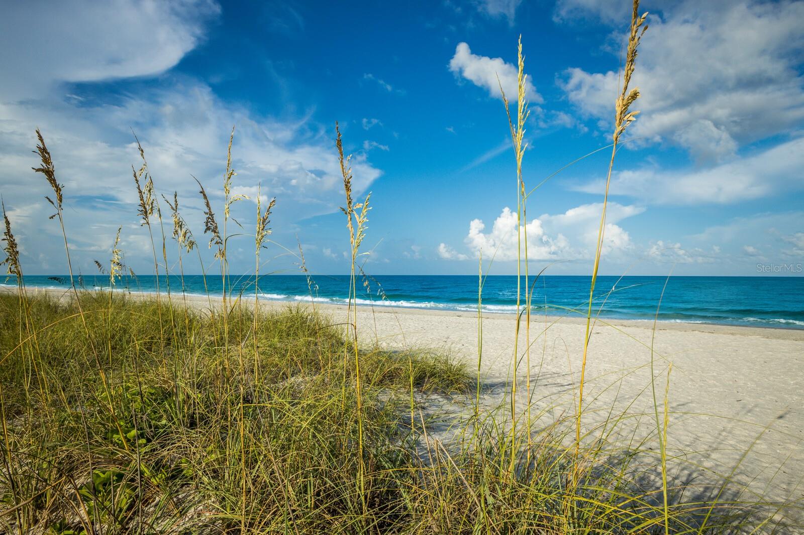 176 AVENS DR, NOKOMIS, FL, 34275