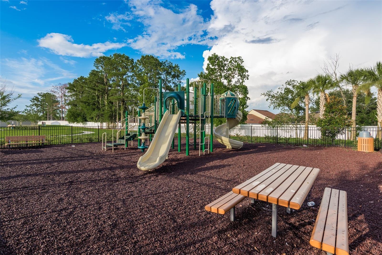 656 ARGYLL DR, SPRING HILL, FL, 34609