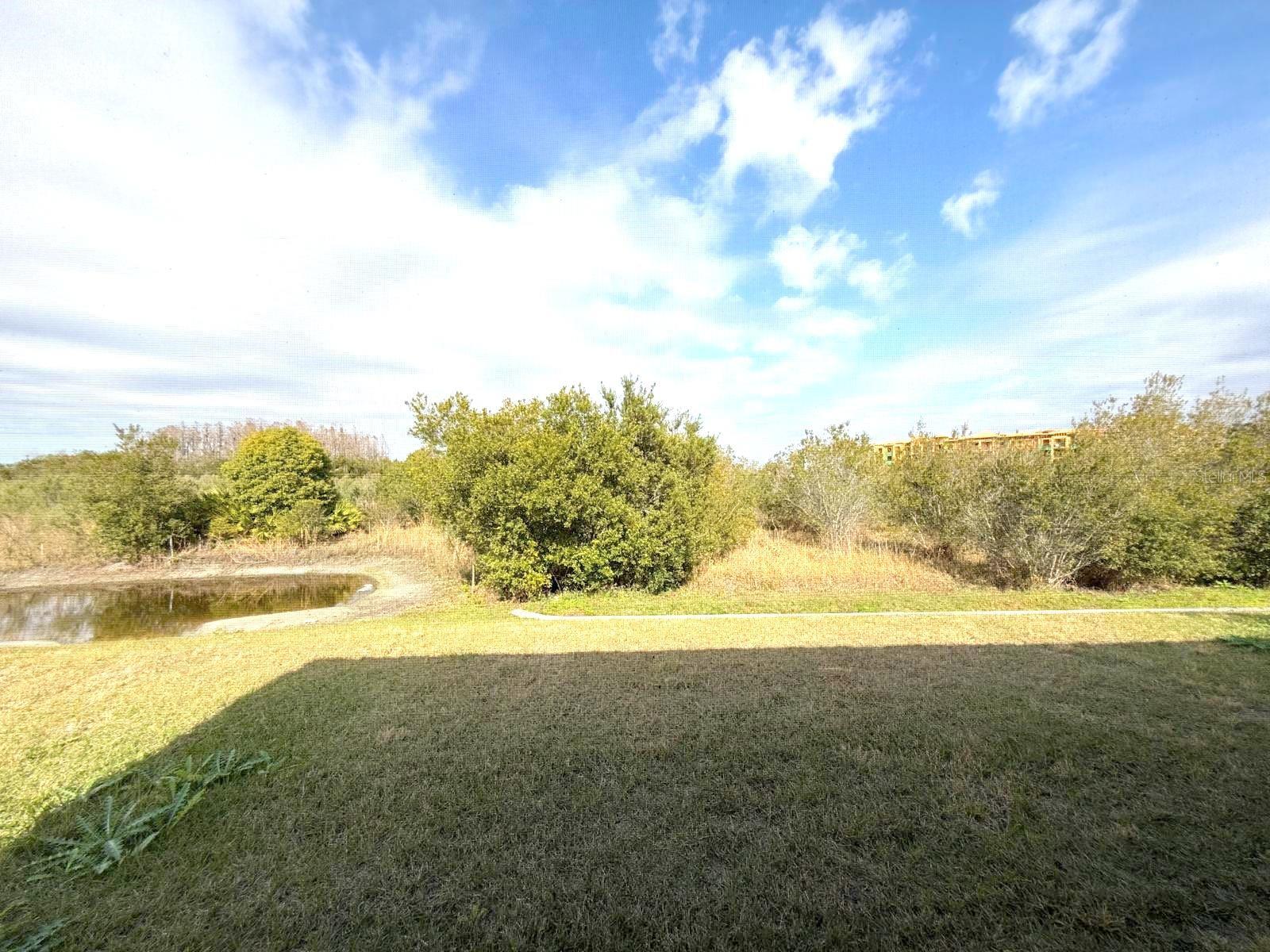 32255 ROSEPINE BLVD, WESLEY CHAPEL, FL, 33543