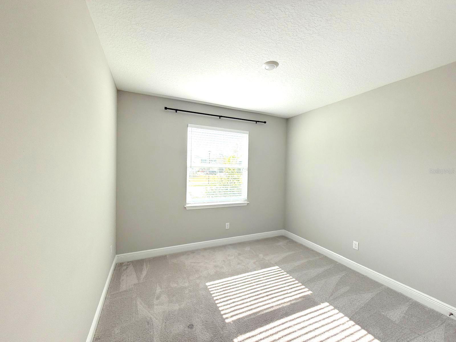 32255 ROSEPINE BLVD, WESLEY CHAPEL, FL, 33543