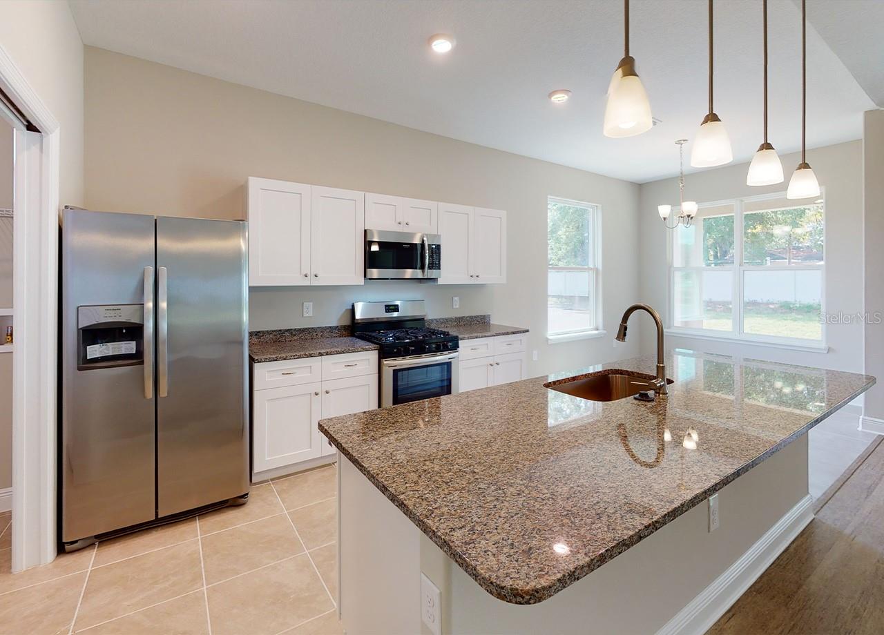 22 ELEVEN OAKS CIR #Willow Oak, EUSTIS, FL, 32726