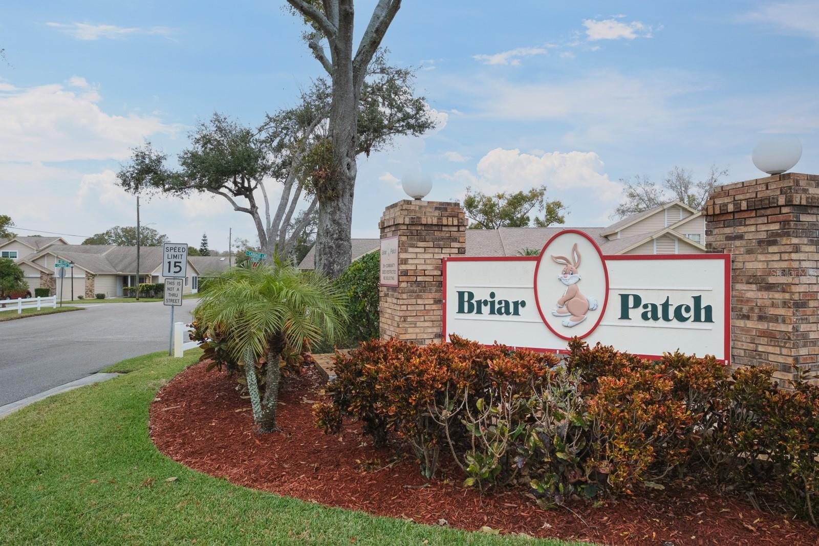 6432 REMUS DR, NEW PORT RICHEY, FL, 34653