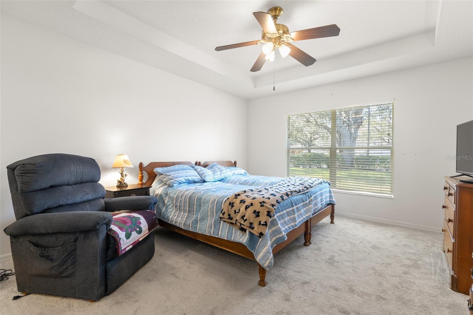 10833 COLLAR DR, SAN ANTONIO, FL, 33576
