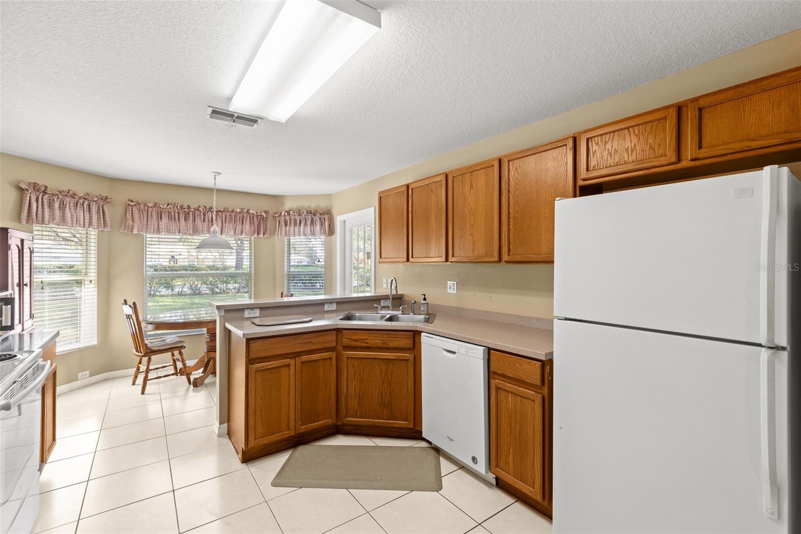 10833 COLLAR DR, SAN ANTONIO, FL, 33576
