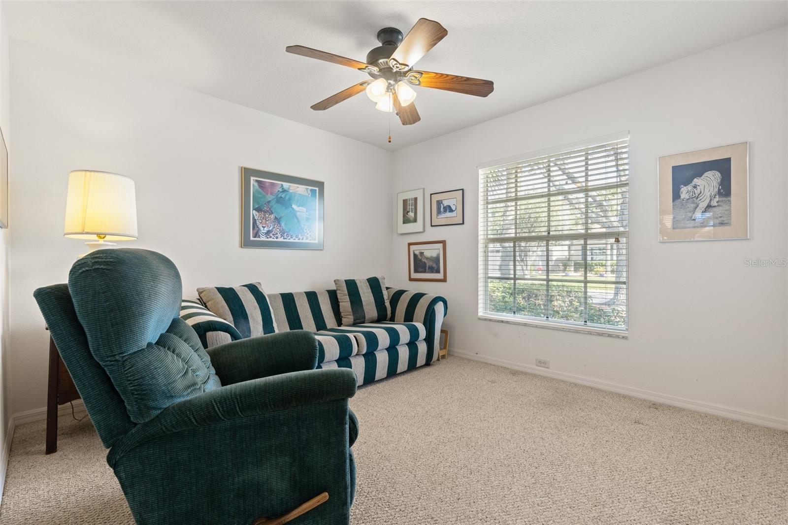 10833 COLLAR DR, SAN ANTONIO, FL, 33576