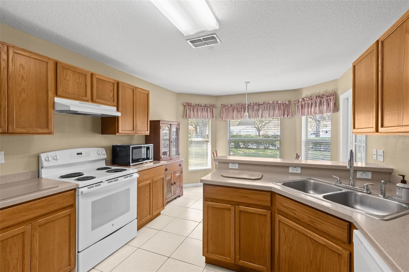 10833 COLLAR DR, SAN ANTONIO, FL, 33576