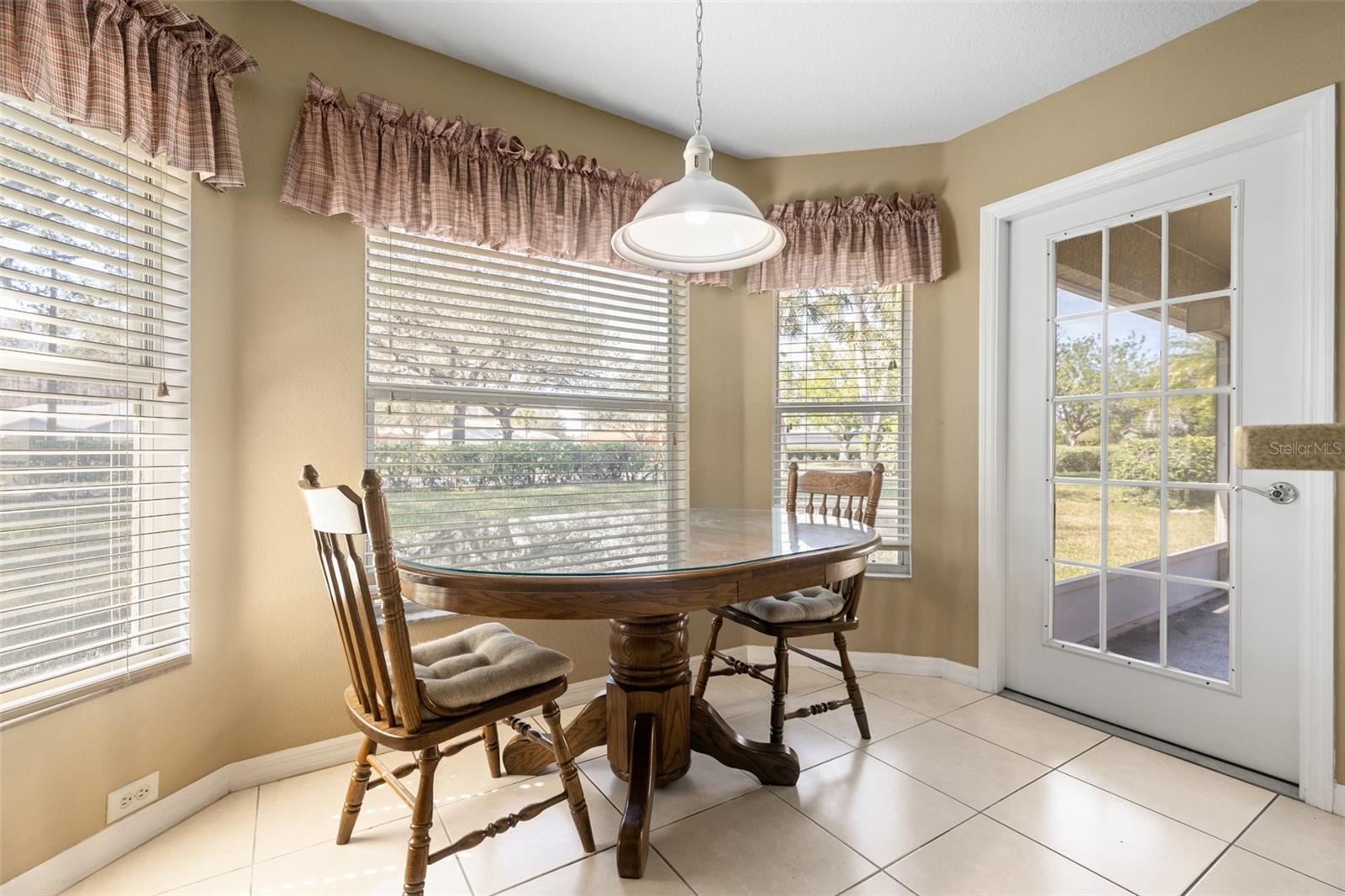 10833 COLLAR DR, SAN ANTONIO, FL, 33576