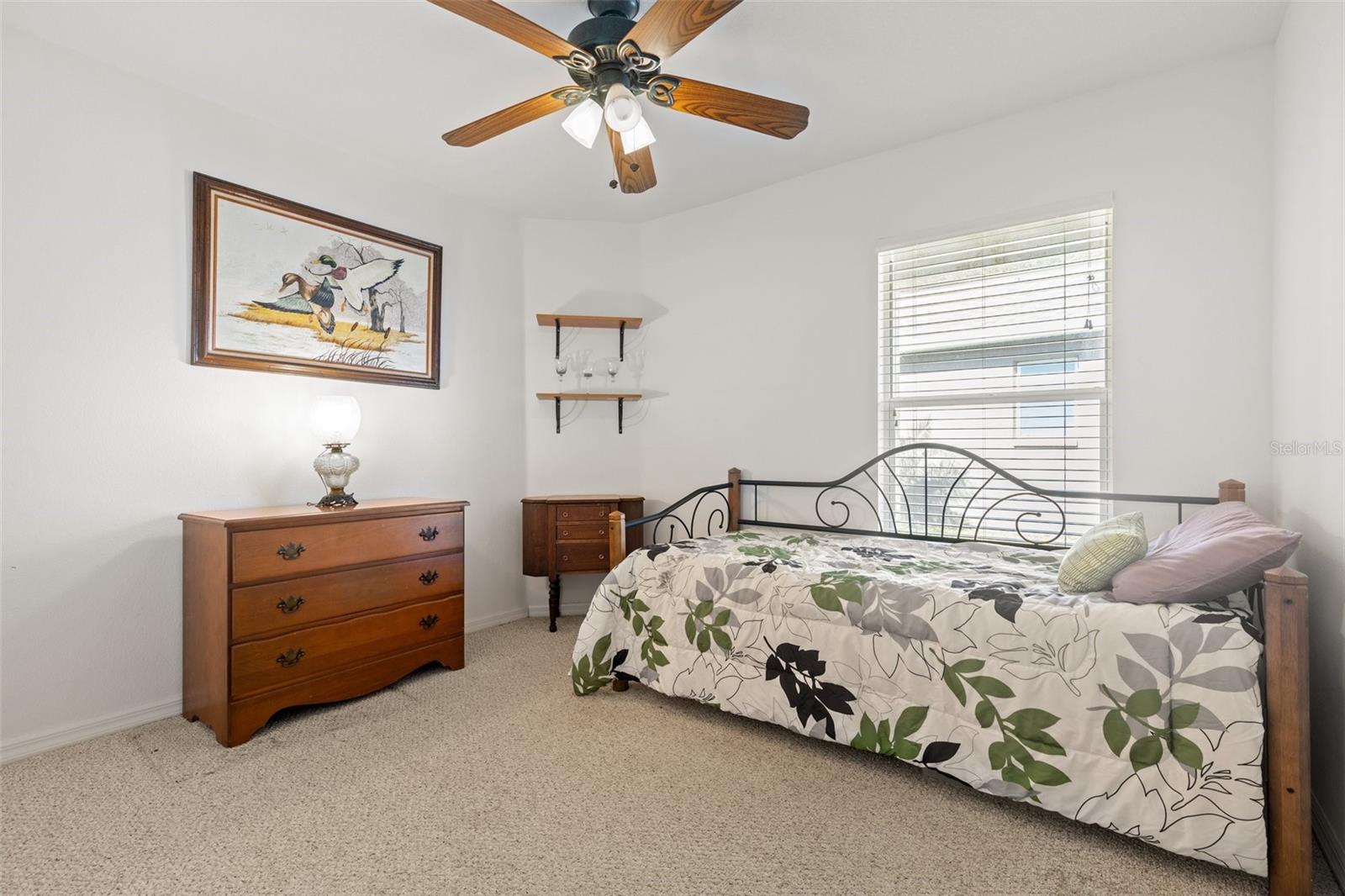 10833 COLLAR DR, SAN ANTONIO, FL, 33576