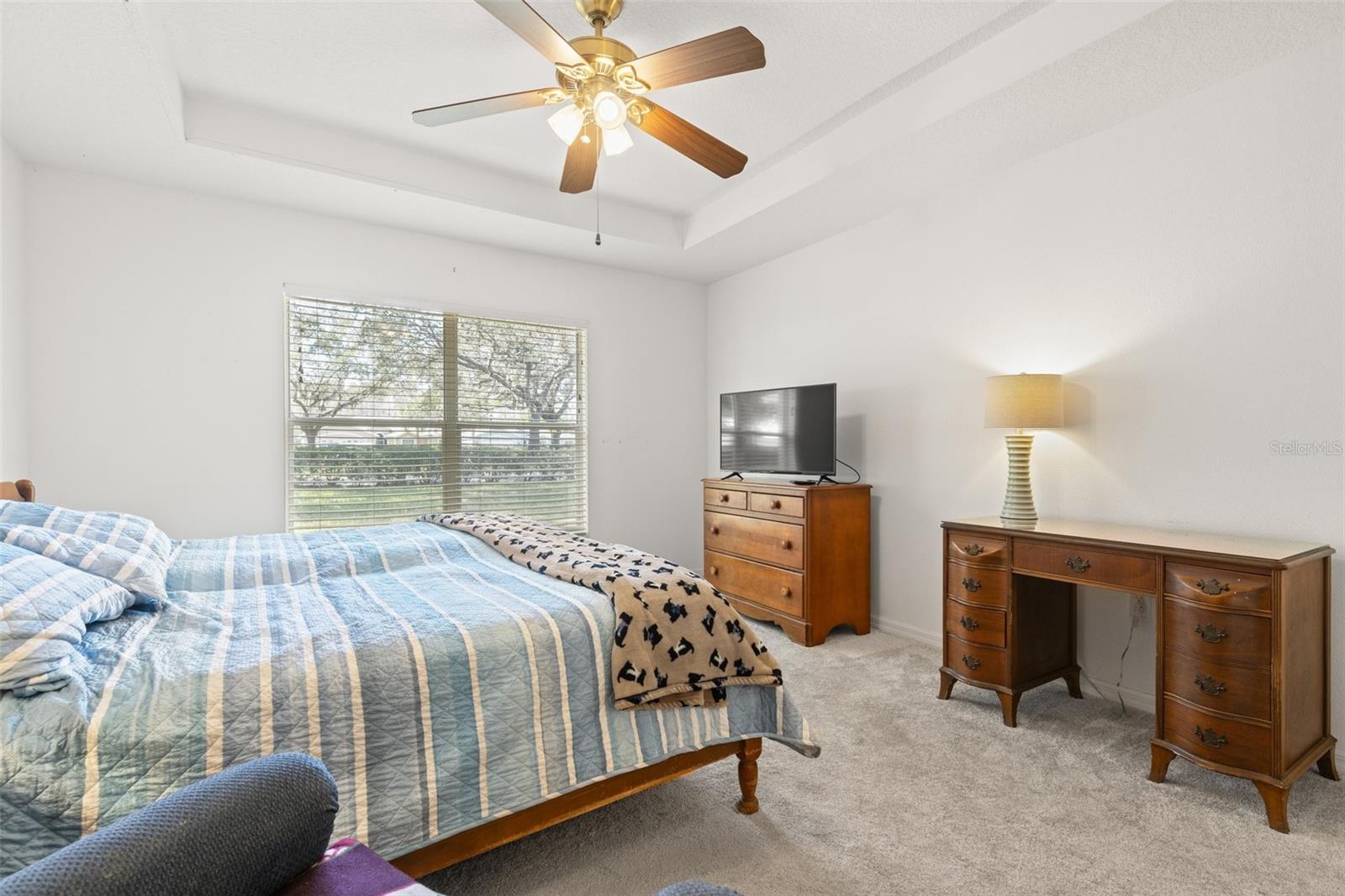 10833 COLLAR DR, SAN ANTONIO, FL, 33576