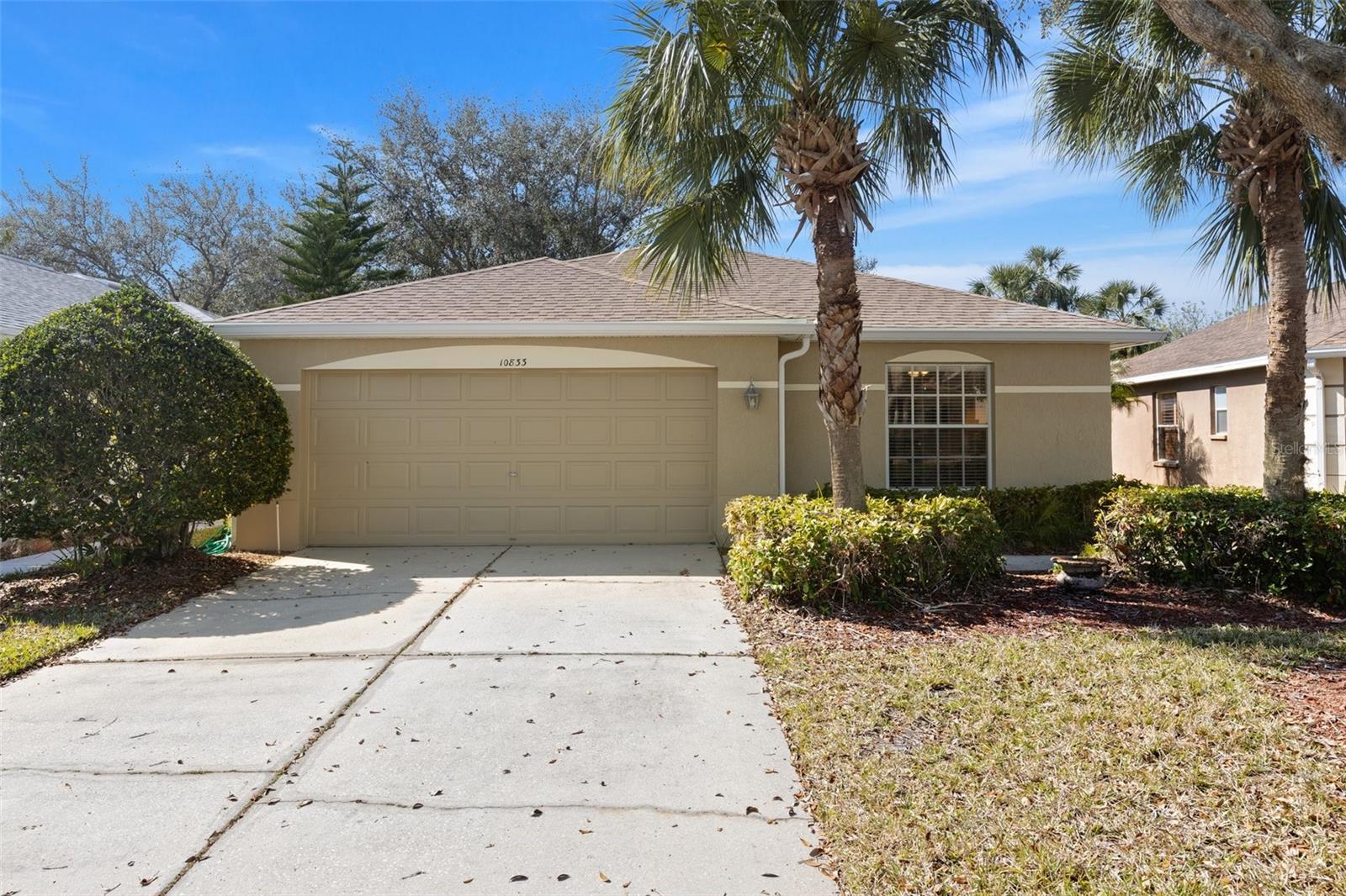 10833 COLLAR DR, SAN ANTONIO, FL, 33576