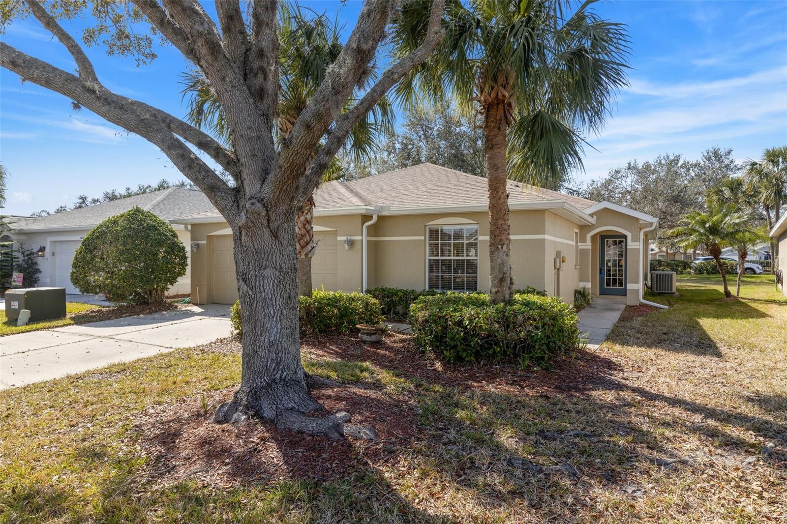10833 COLLAR DR, SAN ANTONIO, FL, 33576