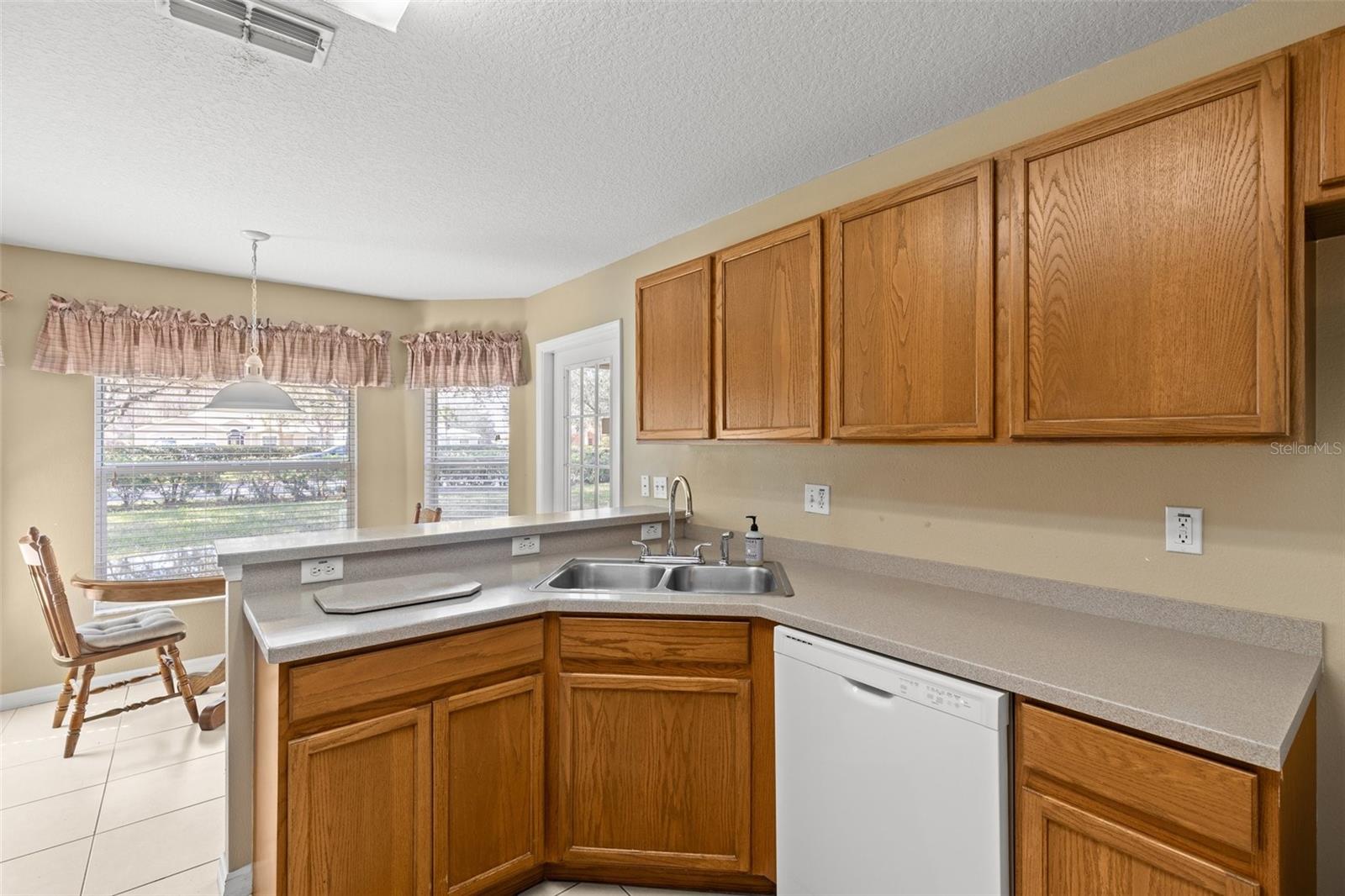 10833 COLLAR DR, SAN ANTONIO, FL, 33576