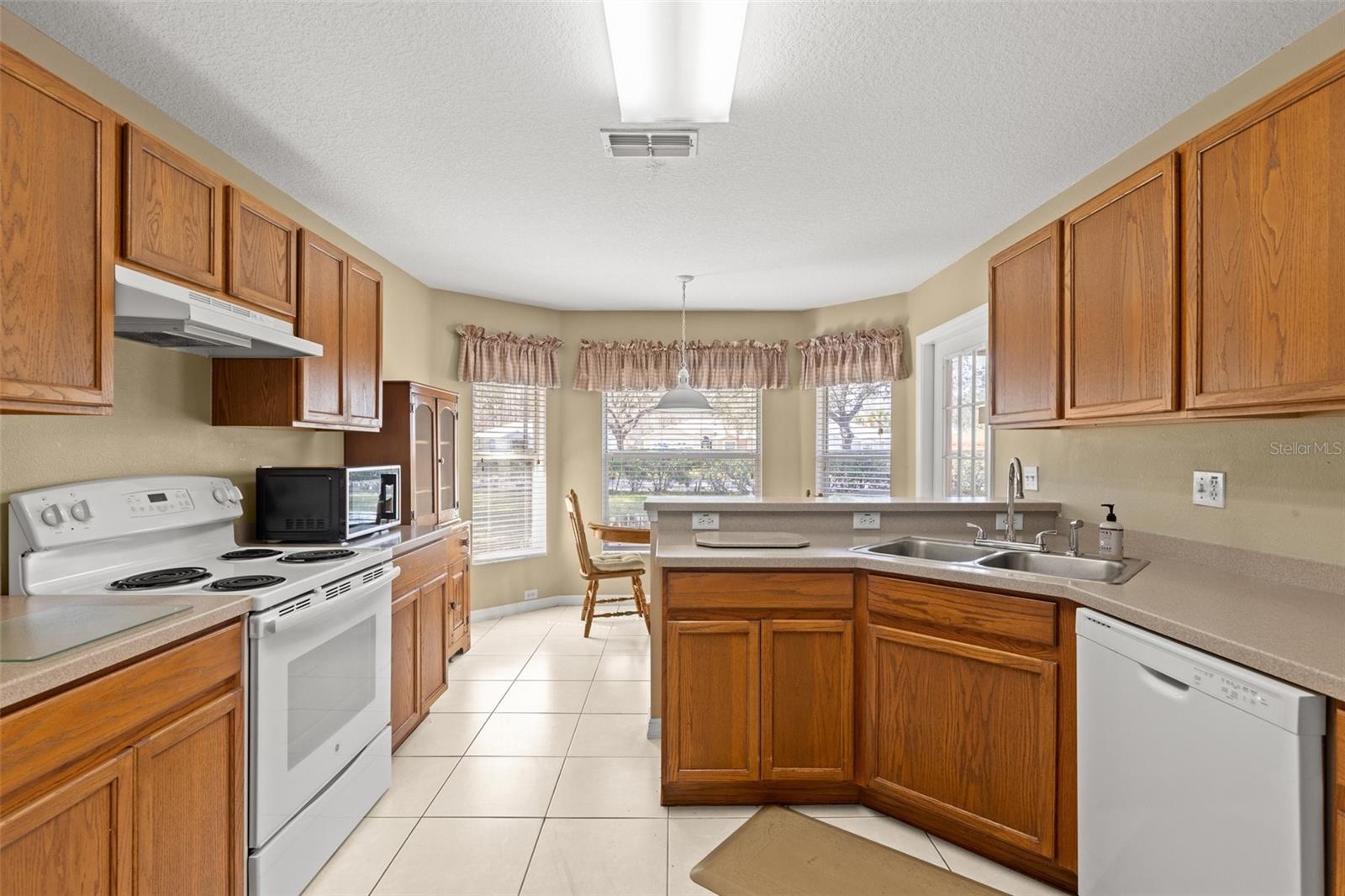 10833 COLLAR DR, SAN ANTONIO, FL, 33576