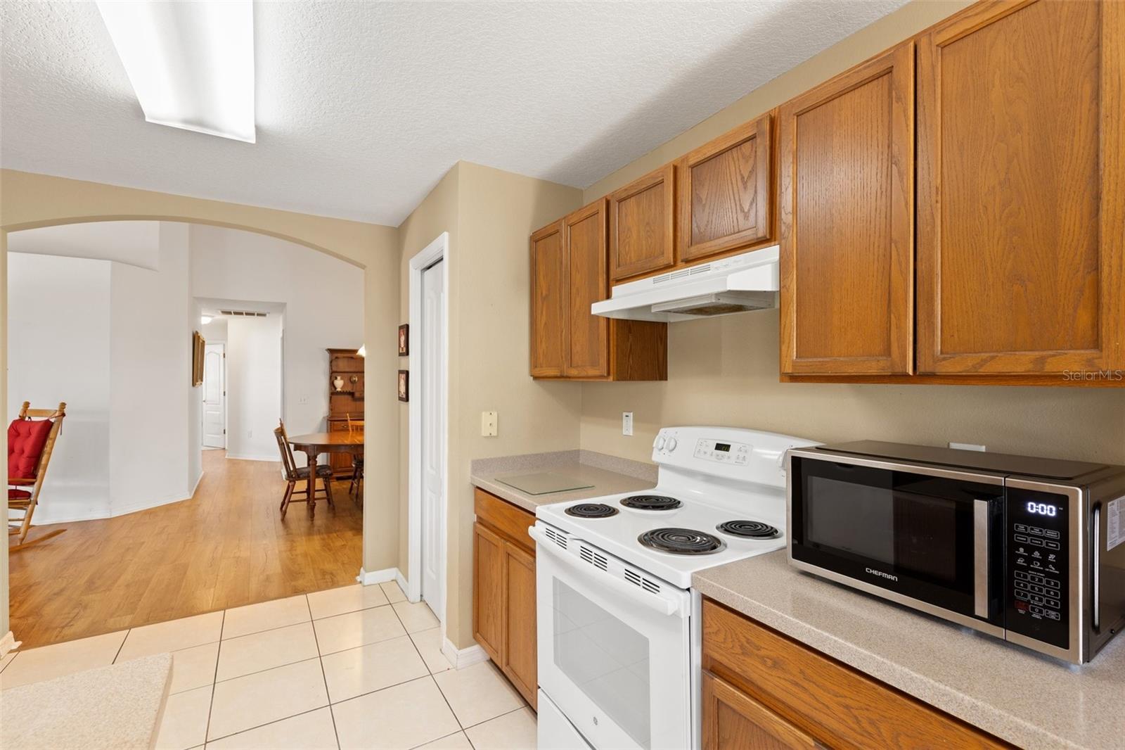 10833 COLLAR DR, SAN ANTONIO, FL, 33576