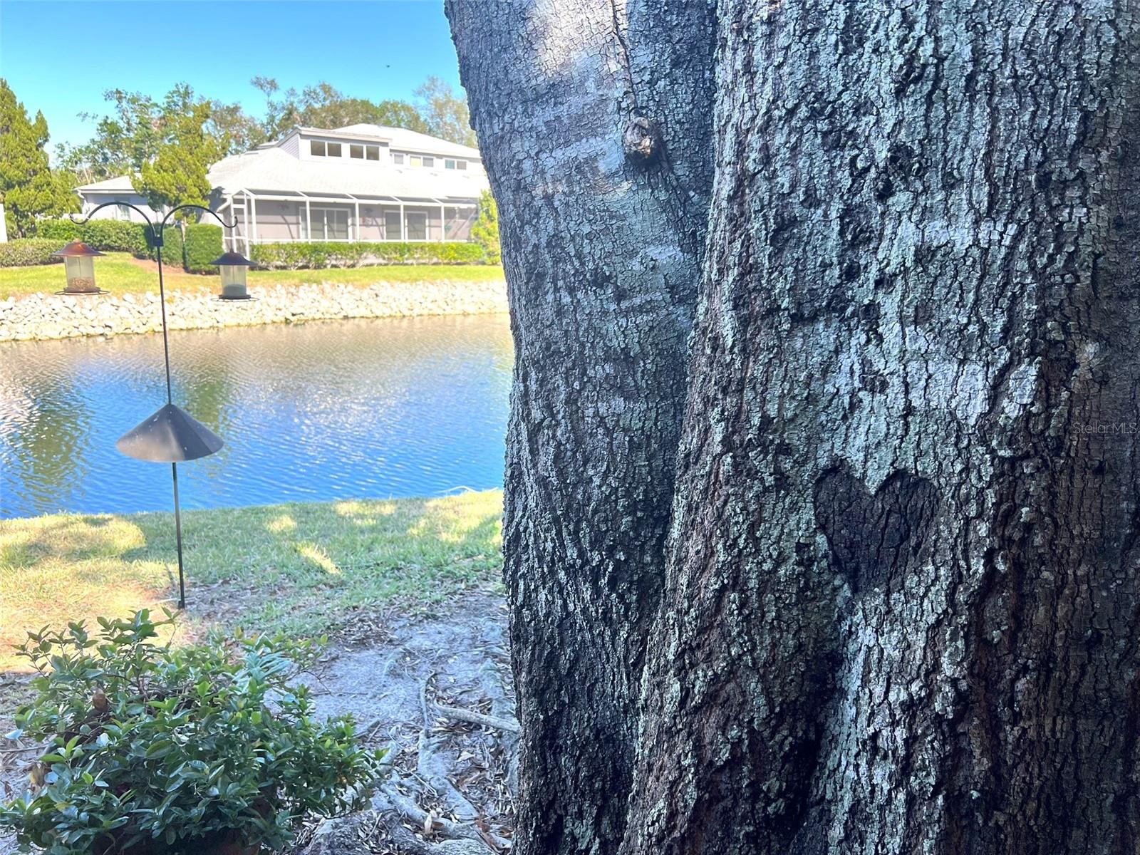 4615 HIDDEN VIEW PL #26, SARASOTA, FL, 34235