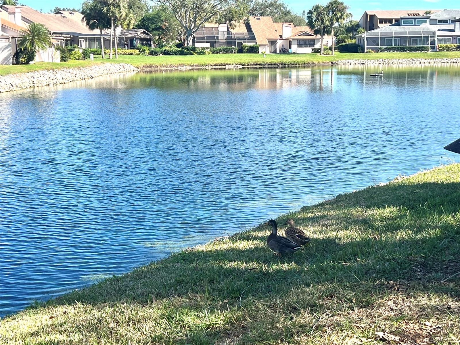 4615 HIDDEN VIEW PL #26, SARASOTA, FL, 34235