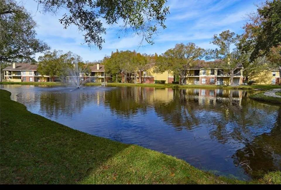 8659 FANCY FINCH DR #101, TAMPA, FL, 33614
