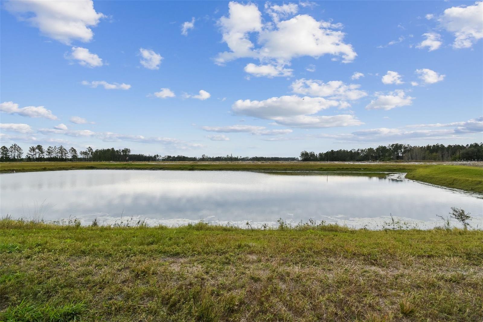 2416 WISE RIVER LN, ZEPHYRHILLS, FL, 33541