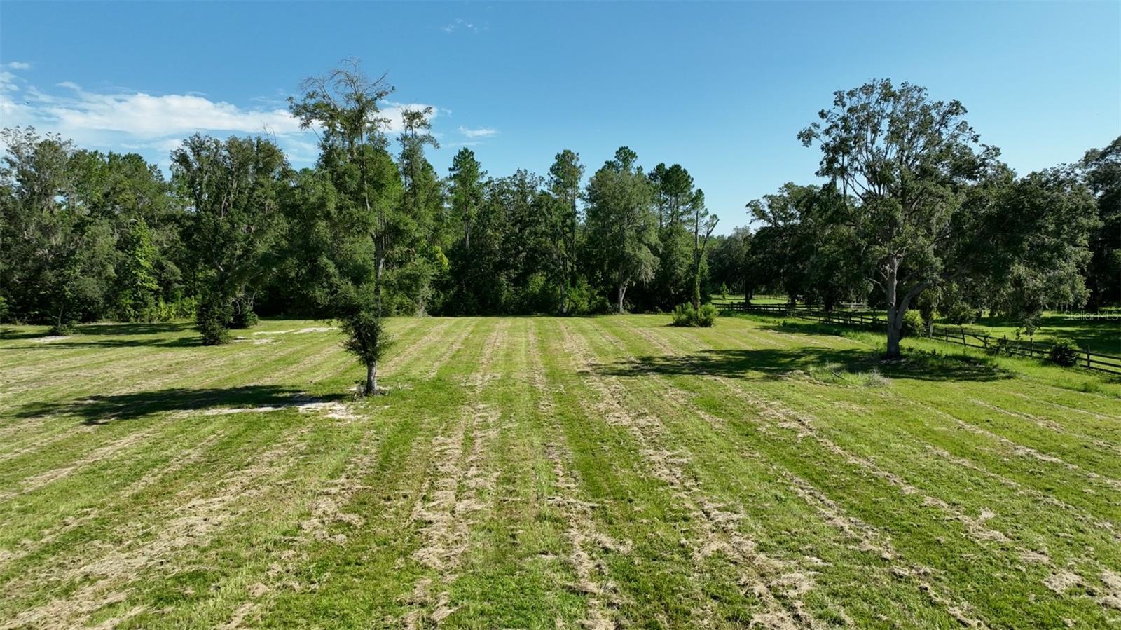 NW 116TH CT, REDDICK, FL, 32686