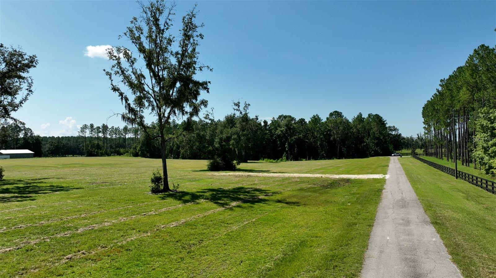 NW 116TH CT, REDDICK, FL, 32686