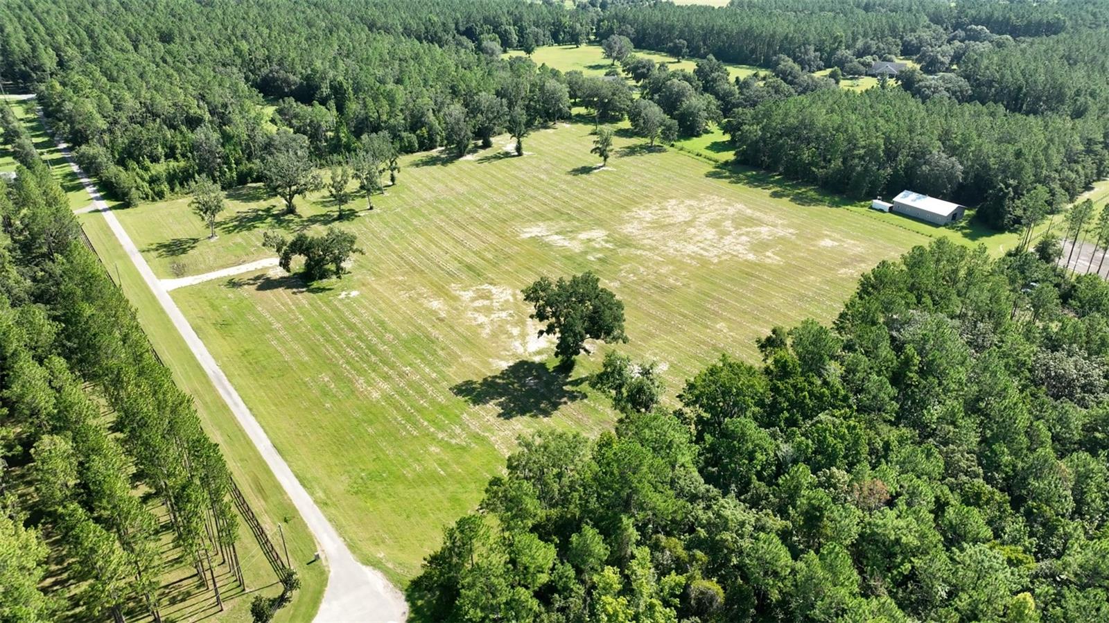 NW 116TH CT, REDDICK, FL, 32686