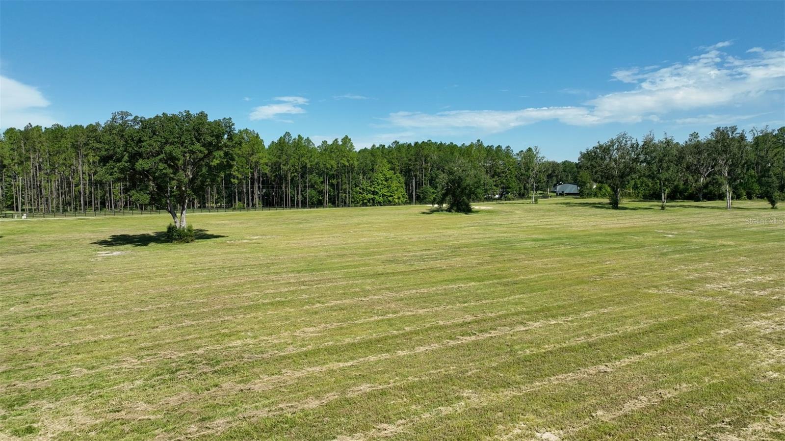 NW 116TH CT, REDDICK, FL, 32686