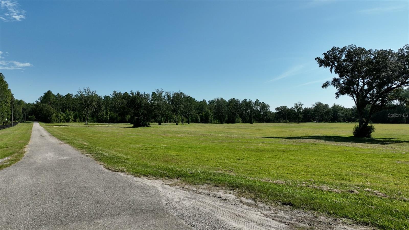 NW 116TH CT, REDDICK, FL, 32686