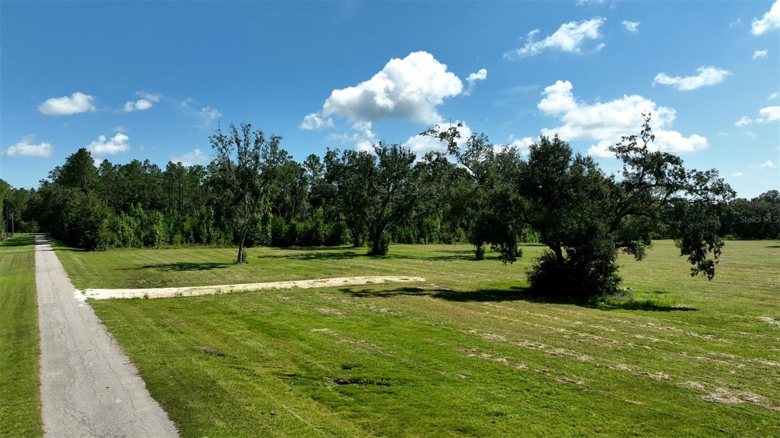 NW 116TH CT, REDDICK, FL, 32686