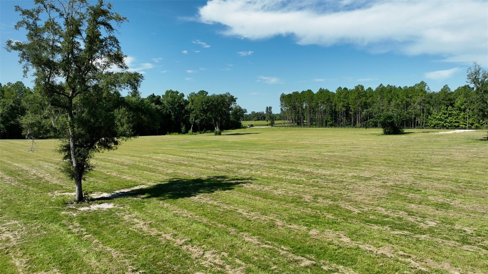 NW 116TH CT, REDDICK, FL, 32686