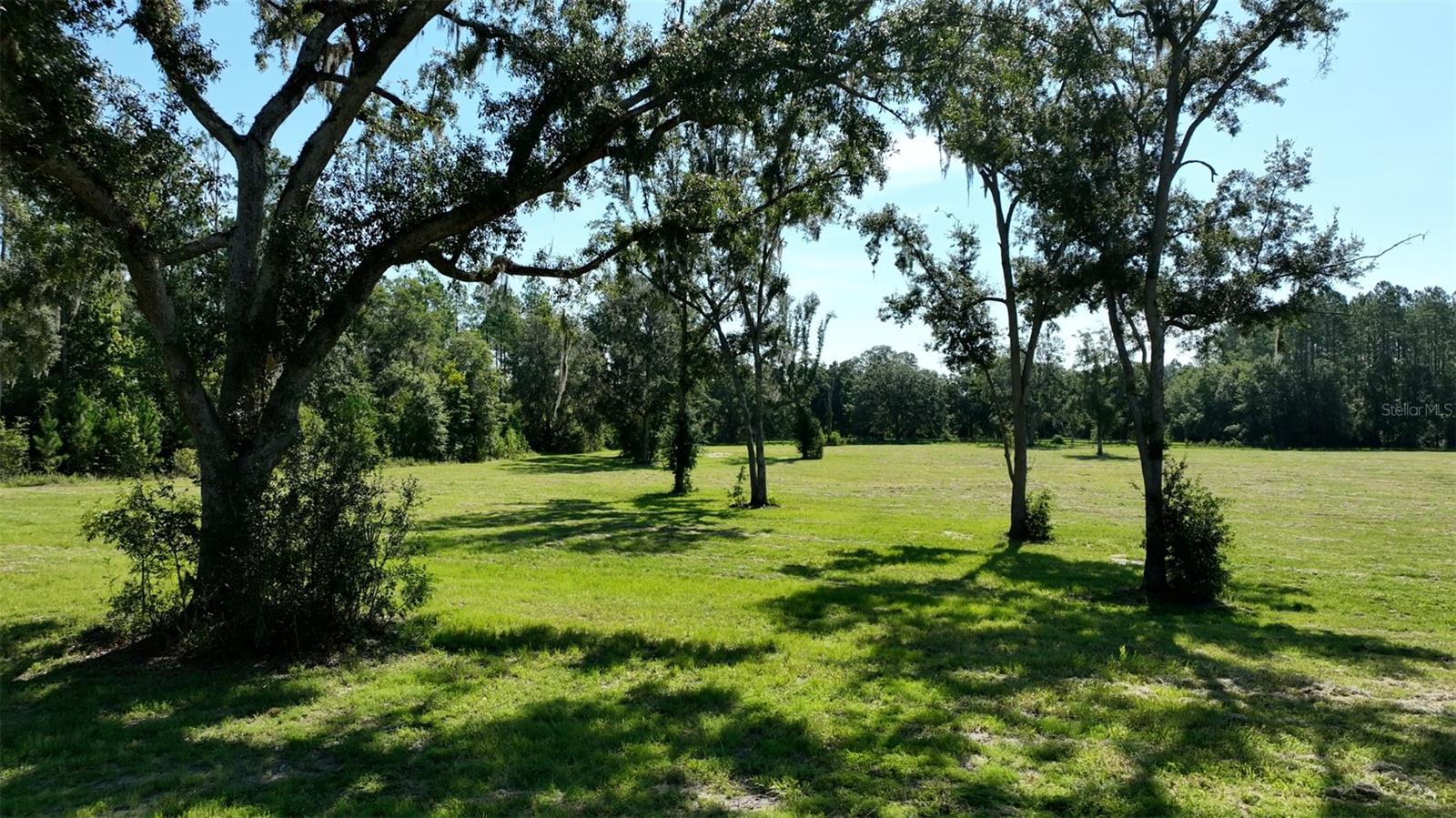 NW 116TH CT, REDDICK, FL, 32686