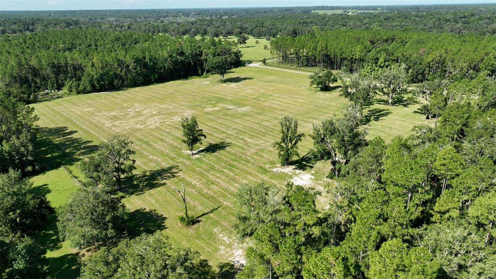 NW 116TH CT, REDDICK, FL, 32686